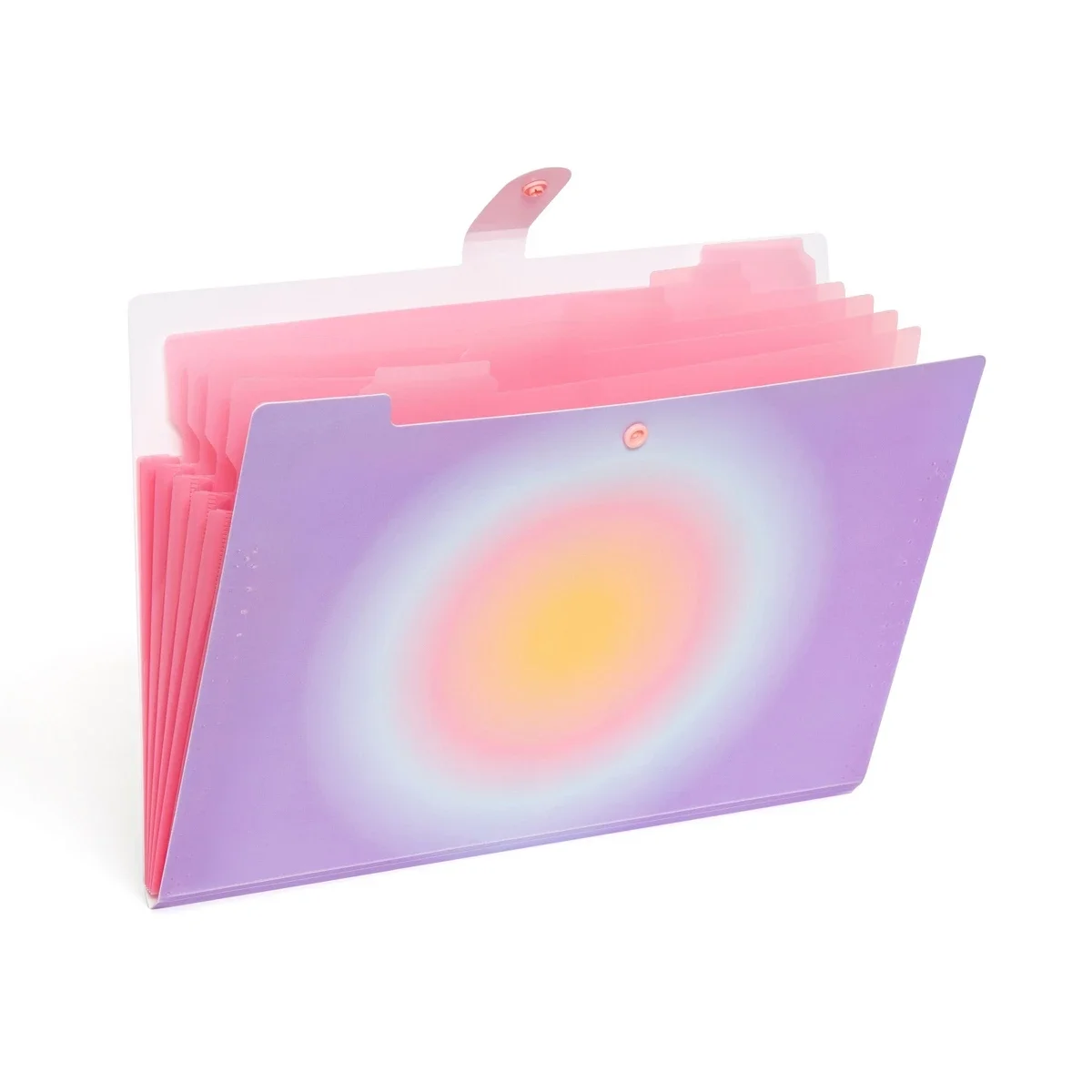 6 Pocket Expanding File Purple Head in The Clouds