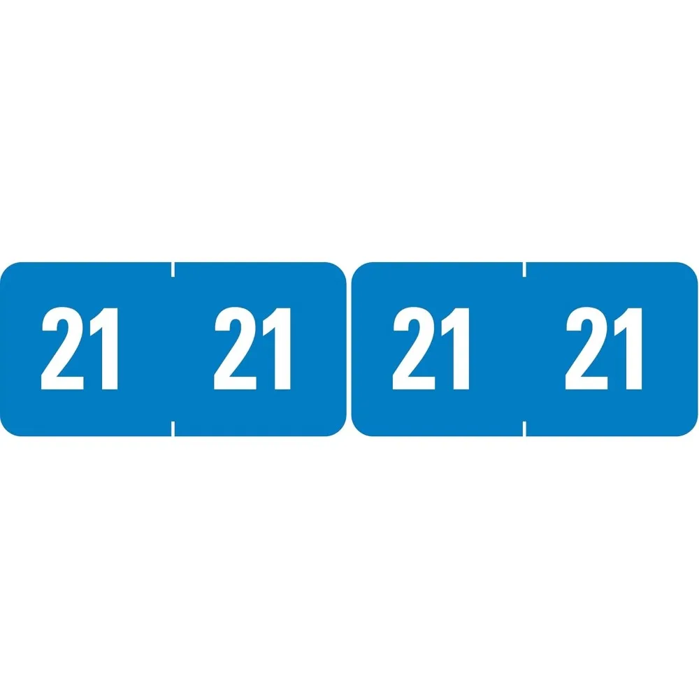 Light Blue Color-Coded Year Labels for 2021, Pack of 2 Sheets with 250 Adhesive Stickers Each, Perfect for School, Office, Home Organization, Calendar Planning, File Sorting, and Inventory Management,